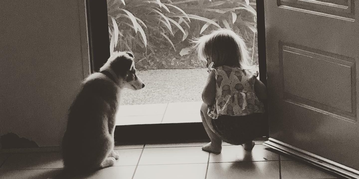 91363005_153416129318575_7405976270732787712_n